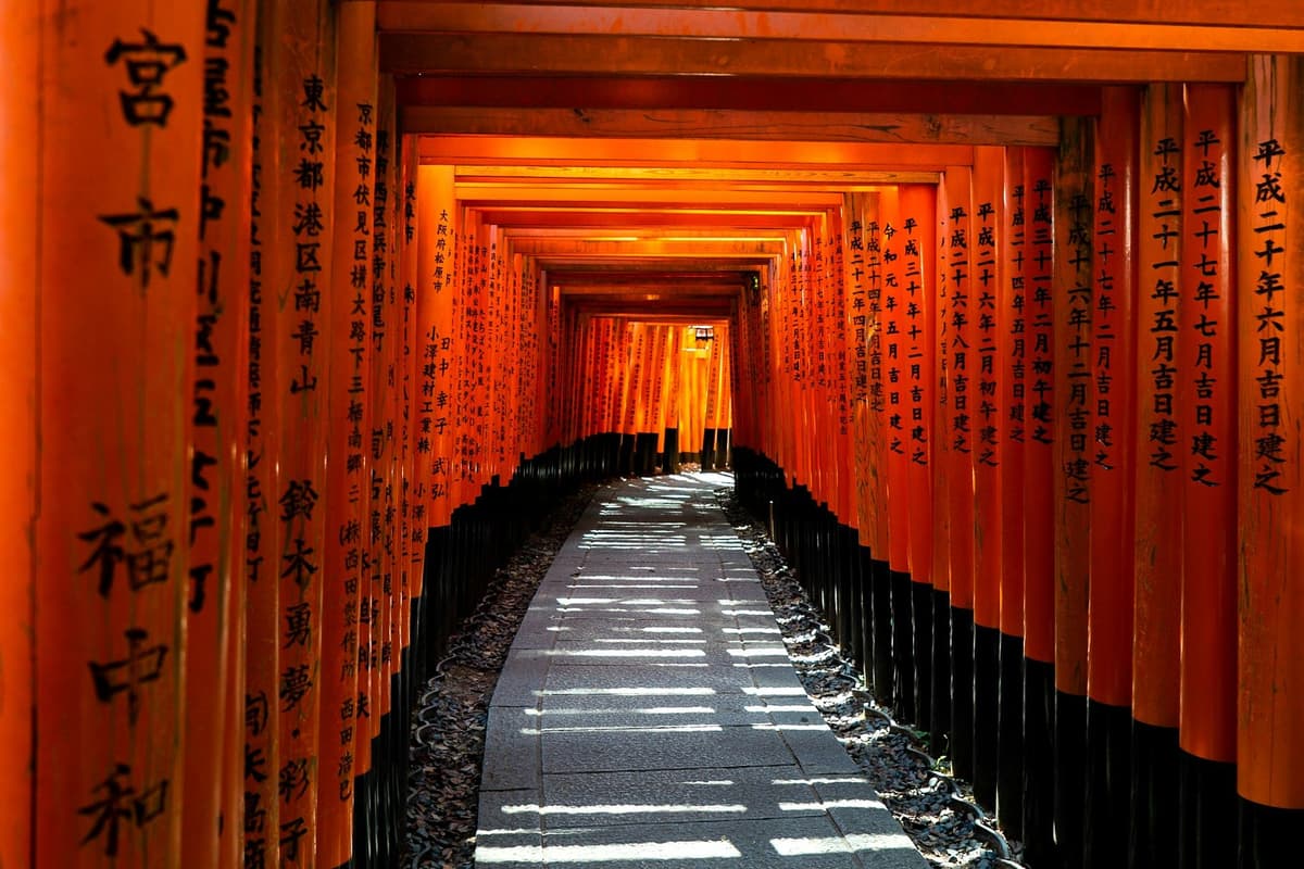 Kyoto in Bloom