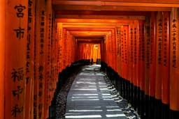 Kyoto in Bloom